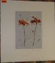 unleserl. signierte kl. Farblithografie, zwei Blumen 28x25 cm