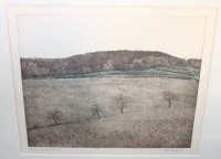 Auktion 373 / Los 5032 <br>Redeker, Peter (1942 - 2022), Landschaft  I, Farbradierung, gerahmt/Glas, Versand ohne Rahmen !, RG 75,5 x 85,5cm