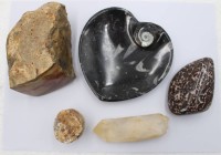 Auktion 373 / Los 15155 <br>Konvolut Mineralien/Fossilen, 5 Teile, Ammonitenschale ca. 12,5 x 12,5cm