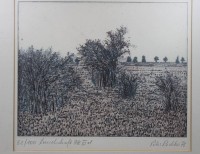 Auktion 374<br>Peter Redeker, Landschaft, Radierung, gerahmt/Glas, RG 39 x 40,5cm