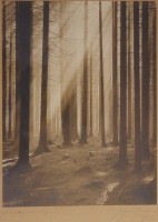 Auktion 374<br>K&uuml;nstlerfoto, betitelt "Sonnenstrahlen", unleserl signiert, alt gerahmt, RG 37 x 29cm