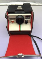 Auktion 374<br>Polaroid Land Camera 1000 in orig. Etui mit Blitze, gut erhalten