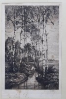 Auktion 375<br>Georg FRITZ (1894-1967) , Birke am Bach, Radierung, &auml;lter, stockfleckig,  ger./Glas, RG 34 x 25cm