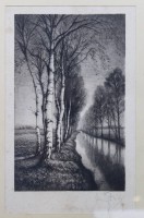 Auktion 375<br>Georg FRITZ (1894-1967) , Birke am Bach, Radierung, &auml;lter, stockfleckig,  ger./Glas, 35 x 28cm