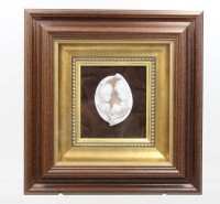 Auktion 375<br>sehr sch&ouml;ne Muschelkame&eacute;, wohl Graveur Gennaro Garofalo, Italien, gerahmt/Glas, RG 29 x 27,5cm, Kame&eacute; ca. 7,5 x 6cm