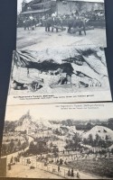Auktion 375<br>15x Postkarten, Carl Hagenbeck Tiergarten, Hamburg, tw. gelaufen
