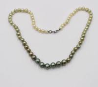 Auktion 375<br>elegante Perlenkette mit einem harmonischen Farbverlauf , &auml;lter, ca. L-42cm