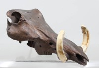 Auktion 376<br>wohl Sch&auml;del eines Warzenschweines, bronzefarben bemalt, ca. H-14cm L-32cm