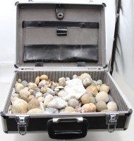 Auktion 376<br>Koffer voll Versteinerungen wohl Haupts&auml;chlich Strandfossilien 