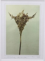 Auktion 376<br>wohl Litho, betitelt "Sch&ouml;ner Unterbau", Nr. 4/50, gut gerahmt/Glas, RG 32,5 x 27cm