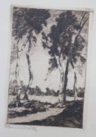 Auktion 376<br>Anna Feldhusen (1867-1951), Birken, Radierung, alt ger./Glas, RG 22 x 16cm