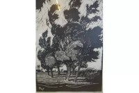 Auktion 376<br>H. Wolff, "B&auml;ume" orig. Holzschnitt, 1961, ger/glas, RG 46x34 cm