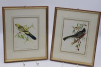 Auktion  / Los 13023 <br>2x Grafiken mit Vogeldarstellungen, je gerahmt/Glas, RG 31,5 x 25,5cm.