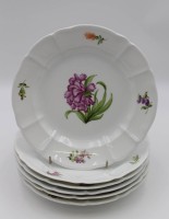 Los 1014 <br>6x flache Teller, Nymphenburg, Blumenbemalung, D-24,5cm.