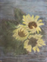 anonym, Sonnenblumen, Gouache, gerahmt/Glas, RG 71 x 56cm.