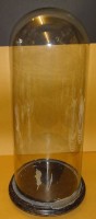 Auktion 332 / Los 10002 <br>hoher Glassturz auf Holzstand, H-55 cm, Glas-D-20 cm, Stand D-25 cm