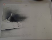 Auktion 332 / Los 5022 <br>Peter PAUL (1943-2013) , orig. Litho "für Frau Zürcher", BG 60x80, ..für den Künstler