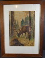 Auktion 334 / Los 4003 <br>AK, 1946 "äsender Hirsch", Aquarell, ger/Glas, RG 53x41 cm