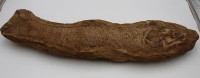 Auktion 334 / Los 15035 <br>gr. Versteinerung, Fisch, L-67cm.