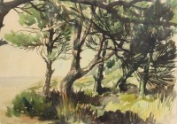 Auktion 336 / Los 4061 <br>Siefer, Aquarell, gerahmt/Glas, RG 62 x 78cm.