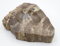 Los 15021 <br>Schale gefertigt aus versteinertem Holz, H-5,3cm, B-22,5cm T-19,5cm.