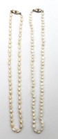 Auktion 341 / Los 1066 <br>2x Perlenketten, älter, ca. L- je 44cm.
