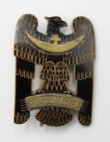 Los 7016 <br>Schlesisches Bewährungsabzeichen, Für Schlesien, emailliert