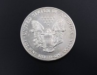 Los 6053 <br>One Dollar 1991 USA 1 Unze Feinsilber, 31,2g.