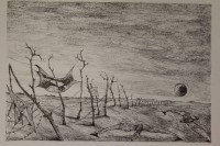 Auktion 340 / Los 5024 <br>Roger LOEWIG (1930-1997), Flugbilder für die Wolken, Lithographie, Künstlerexemplar Griffelkunst Hamburg, Widmung "Für Frau Zürcher....", ungerahmt, BG 40 x 50cm, rechte Seite mit kl. Loch nicht im Werk.