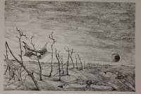 Los 5024 <br>Roger LOEWIG (1930-1997), Flugbilder für die Wolken, Lithographie, Künstlerexemplar Griffelkunst Hamburg, Widmung "Für Frau Zürcher....", ungerahmt, BG 40 x 50cm, rechte Seite mit kl. Loch nicht im Werk.