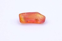 Auktion 341 / Los 1015 <br>Welo Feueropal, 2,7ct., Freiform