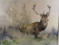 Los 4014 <br>Ludwig HOHLWEIN (1874-1949) , München "Hirsch" grosses Aquarell, ger/Glas, MG 32x41 cm, RG 52x62 cm