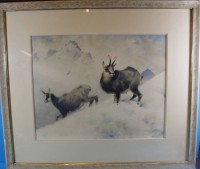 Los 4015 <br>Ludwig HOHLWEIN (1874-1949) "Zwei Gemsen im Winter",  gr. Aquarell, MG 33x40 cm,  ger/Glas, RG 54x62cm