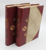 Los 3028 <br>2x  Julius von Pflugk-Harttung, Revolution und Kaiserreich und Das Erwachen der Völker, je um 1900
