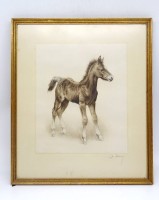 Auktion 341 / Los 5020 <br>Kurt MEYER-EBERHARDT (1895-1977) Radierung  "Fohlen", hinter Glas , Maße Ohne Rahmen : 29,5 x 24,5 cm