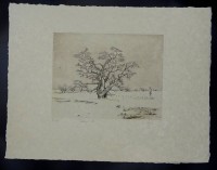 Auktion 342 / Los 5041 <br>Bernard LOUEDIN (1938) "Bäume" Aquatinta-Radierung, frz. betitelt, BG 50x65 cm