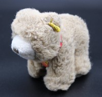 kl. Teddy Browny von Steiff, kompl. Nr. 1445/12