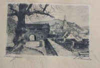 L.Rem..., Ansicht Tutingen, Radierung, ger./Glas, RG 19,5 x 25,5cm.