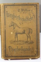 E.Walther, Landwirtschaftliche Thierheilkunde, Bautzen 1894, Alters-u. Gebrauchsspuren