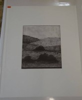 Auktion 344 / Los 5026 <br>Thom. O'Connor, 1970 "Landschaft" Lithografie E.A proof, BG 55x45 cm