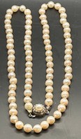 Auktion 345 / Los 1003 <br>lange Perlenkette mit Silberschliesse-835-, L-64 cm,Perle  D-ca.0,5 cm