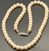Auktion 345 / Los 1004 <br>Perlenkette mit Silberschliesse, L-42 cm, D-0,5 cm