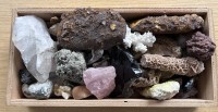 Auktion 348 / Los 15005 <br>Holzkasten mit ca. 50 Teilen Versteinerungen, Halbedelsteinen und Mineralien