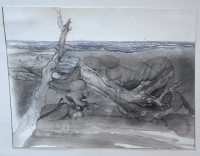 Los 5074 <br>Pauli, 1983, Baumstamm am Strand, Aquarell, mit Widmung "dem lieben Hannes..(Henseleit), MG 20,5x27 cm