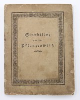 Auktion 351 / Los 3028 <br>J.F.Radda, Sinnbilder aus der Pflanzenwelt, 1824, Alters-u. Gebrauchsspuren