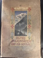 Auktion 369<br>Grossbildband "Alpine Majest&auml;ten und ihr Gefolge" 1901, mit 280 Fotos, Altersspuren, 43x30  cm,  ca. 3 kg