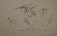 Auktion 361<br>Jan Tom VAN DEN BERGEN (1938-2008), abstrakte Vögel, wohl Litho, ungerahmt, dat. 1975, BG ca. 49 x 70cm, Blatt mit kl. Läsuren