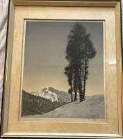 Auktion 361<br>Hans FIGURA (1898-1978)  Wien, Winterlandschaft, Aquatinta, Radierung in Farben/silk, 44 x 35,2 cm, ger/Glas, RG 63x50 cm
