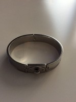 Fossil Amreif