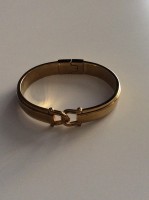Fossil Amreif
